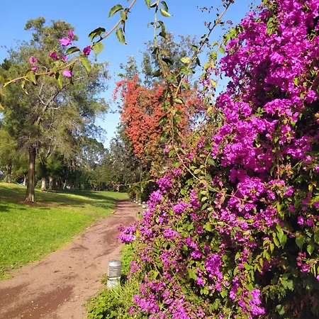 דירה Taoro - Private Pool & Sunset Sea View